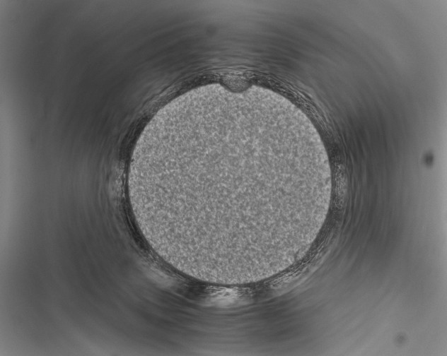 X0000116600083201001221306