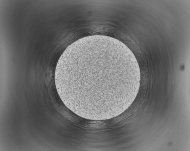 X0000116600087201001221307