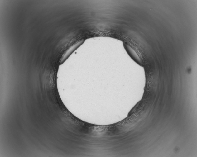 X0000116600088201001221307