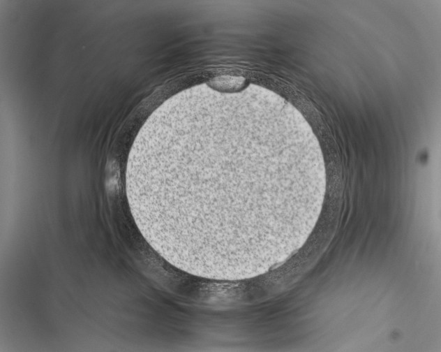 X0000116600089201001221307