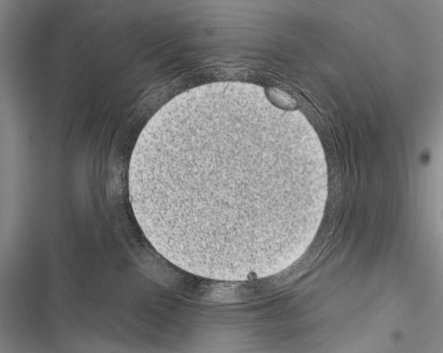 X0000116600090201001221307