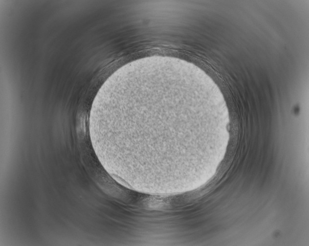 X0000116600094201001221307