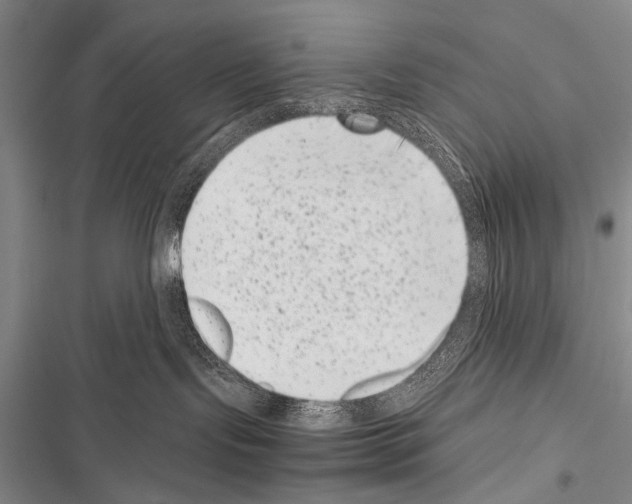 X0000116600095201001221307