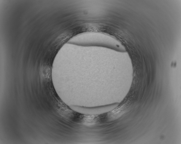 X0000116600096201001221307
