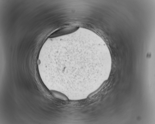 X0000116600097201001221306