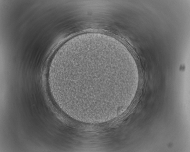 X0000116600098201001221306