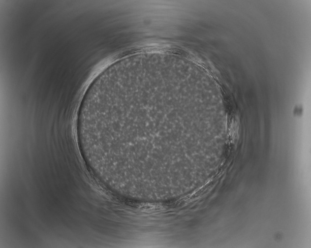 X0000116600099201001221306
