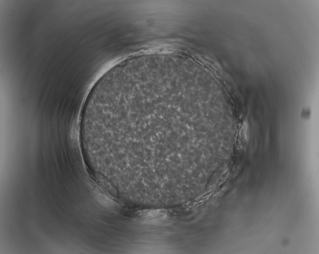 X0000116600100201001221306