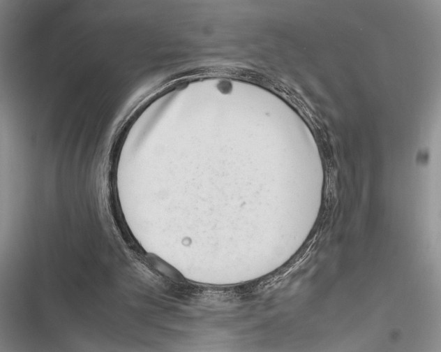 X0000116600101201001221306