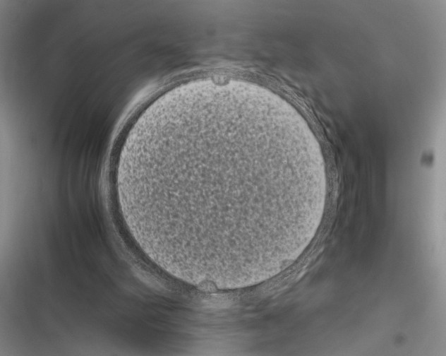 X0000116600102201001221306