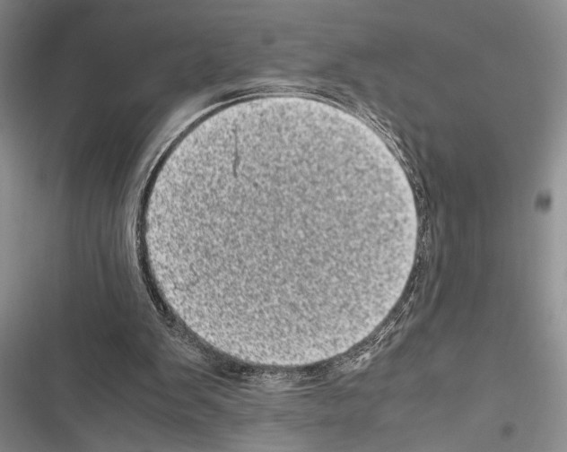 X0000116600103201001221306