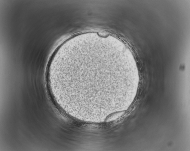 X0000116600104201001221306