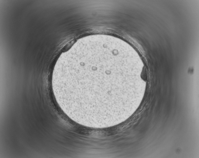 X0000116600105201001221306