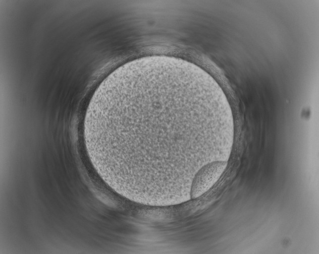 X0000116600106201001221306