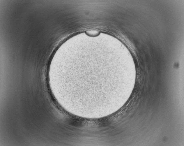 X0000116600107201001221306