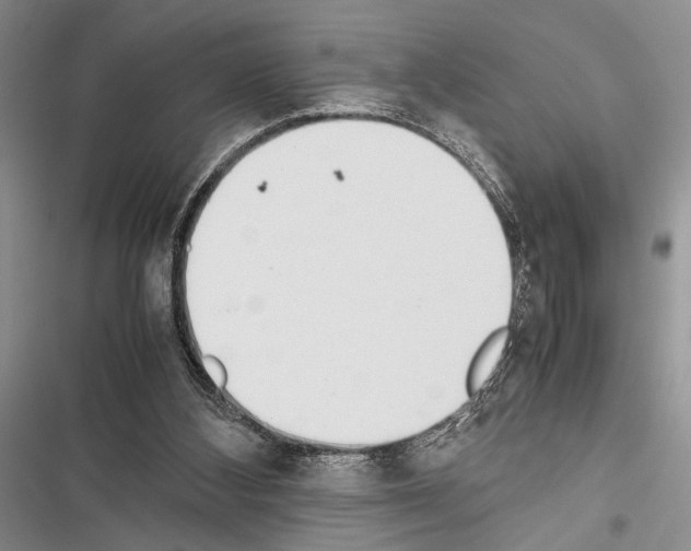X0000116600108201001221306