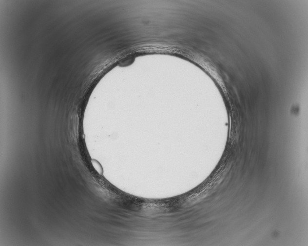 X0000116600109201001221306