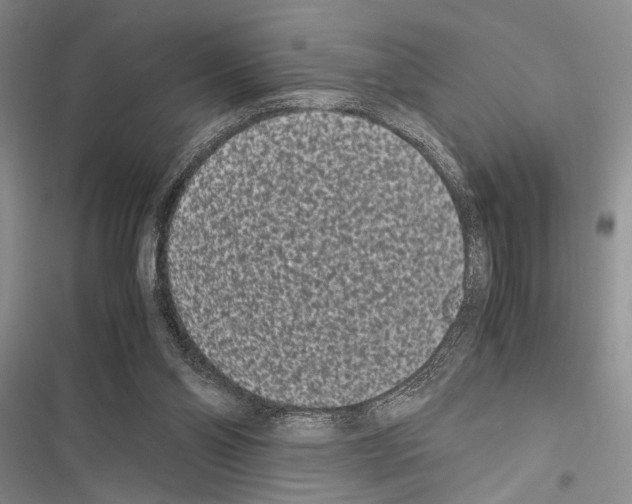 X0000116600110201001221306