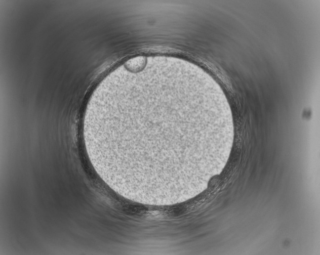 X0000116600111201001221306