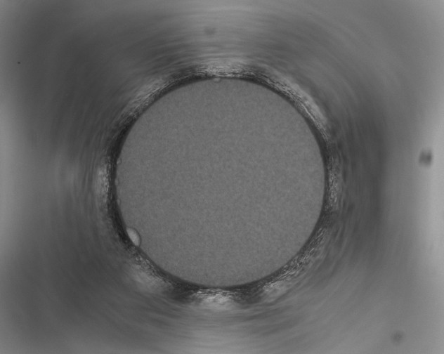 X0000116600113201001221306