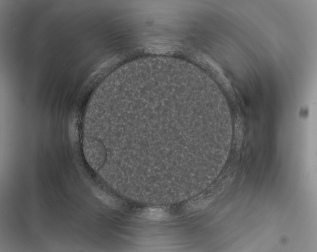 X0000116600114201001221306