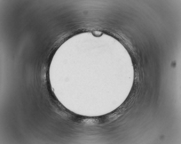 X0000116600115201001221306