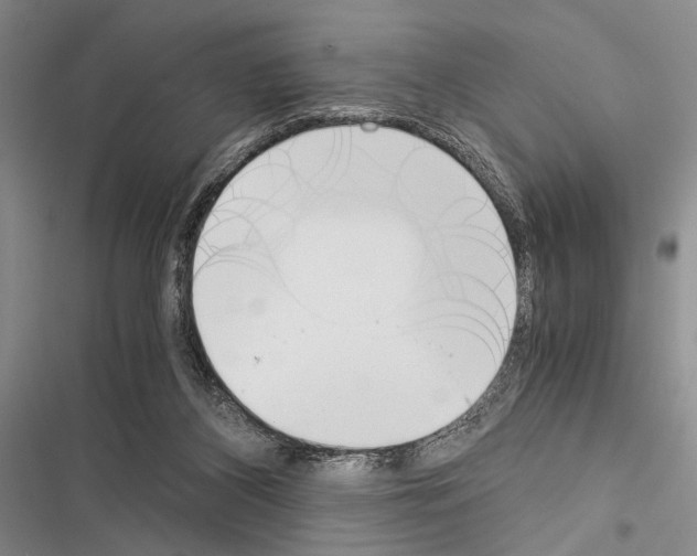 X0000116600116201001221306