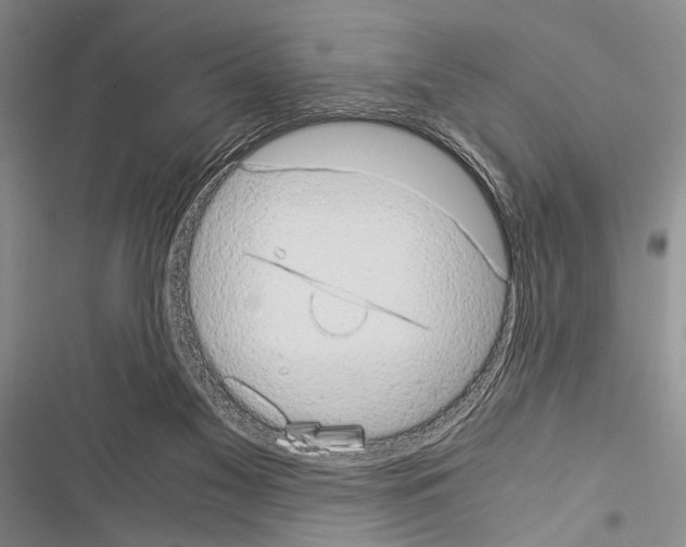 X0000116600117201001221306