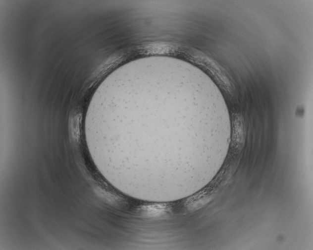 X0000116600118201001221306
