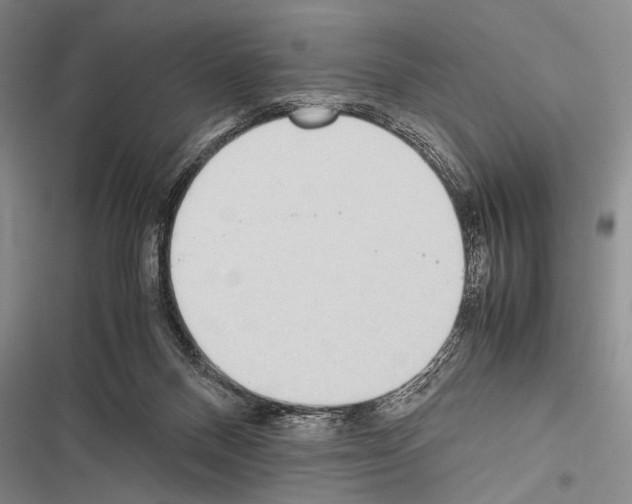 X0000116600120201001221306