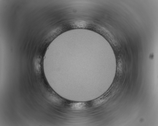 X0000116600122201001221306