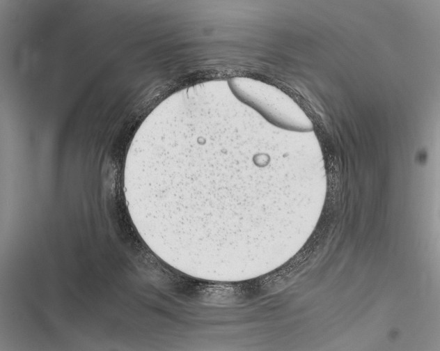 X0000116600123201001221306