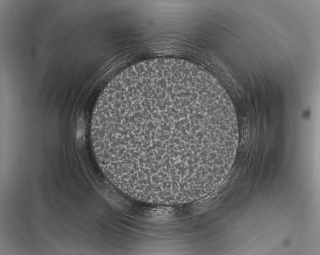 X0000116600124201001221306