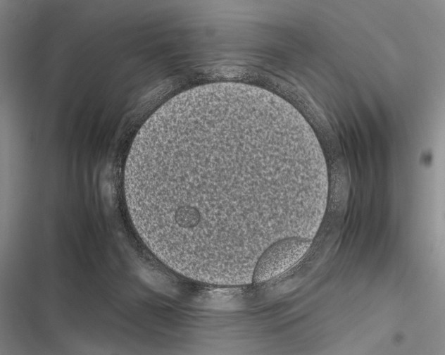X0000116600126201001221306