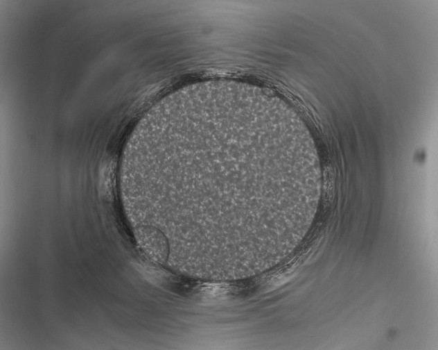 X0000116600127201001221306