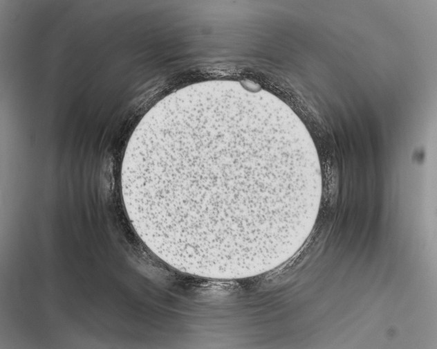 X0000116600128201001221306