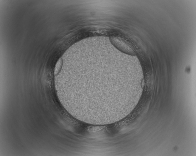 X0000116600129201001221306