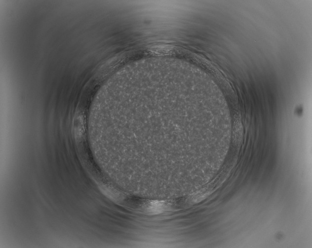 X0000116600130201001221306