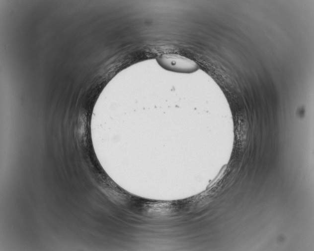X0000116600132201001221306