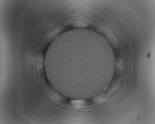 X0000116600133201001221306