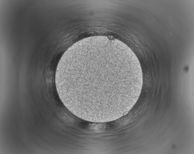 X0000116600135201001221305