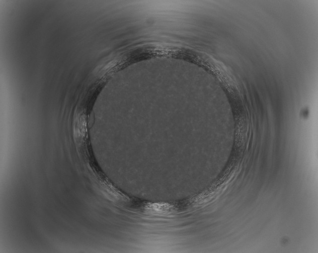 X0000116600137201001221305