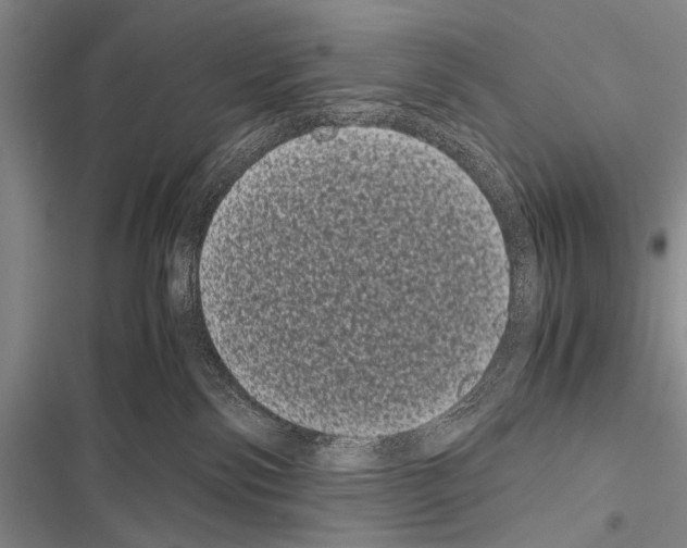 X0000116600138201001221305