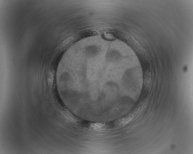 X0000116600139201001221305
