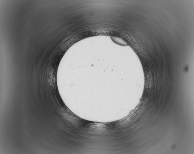 X0000116600140201001221305