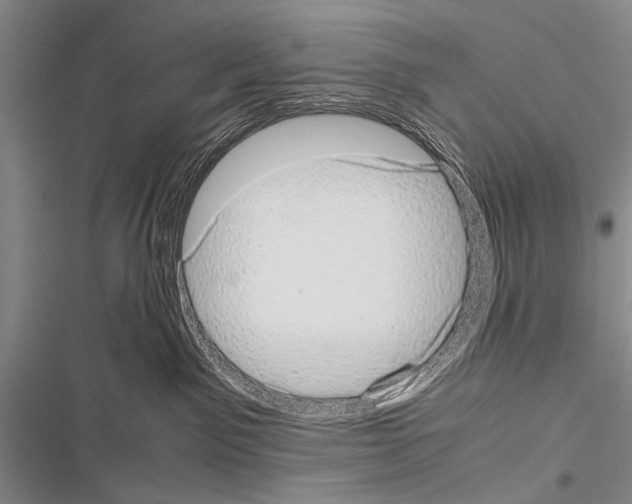 X0000116600141201001221305