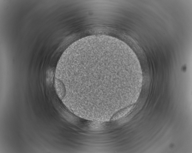 X0000116600142201001221305