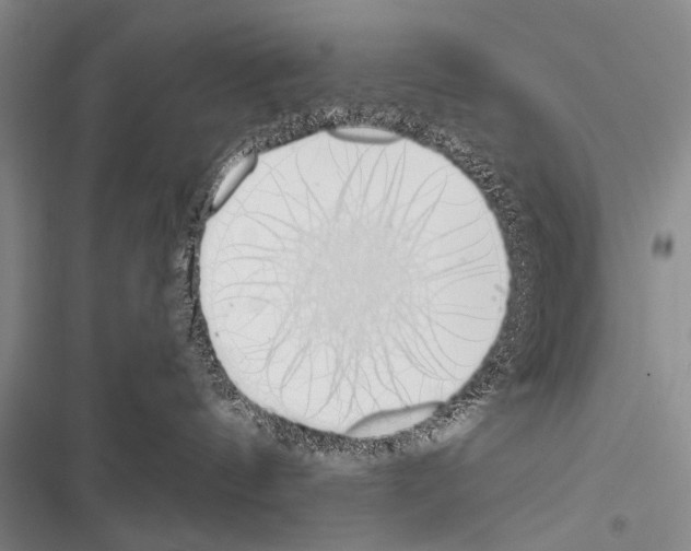 X0000116600144201001221305