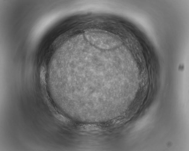 X0000116600146201001221305
