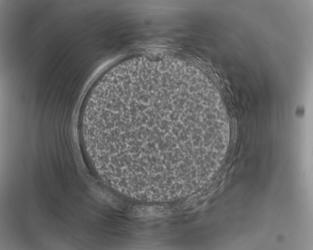 X0000116600147201001221305